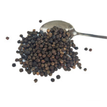 Semillas de pimienta negra de alta calidad para la venta